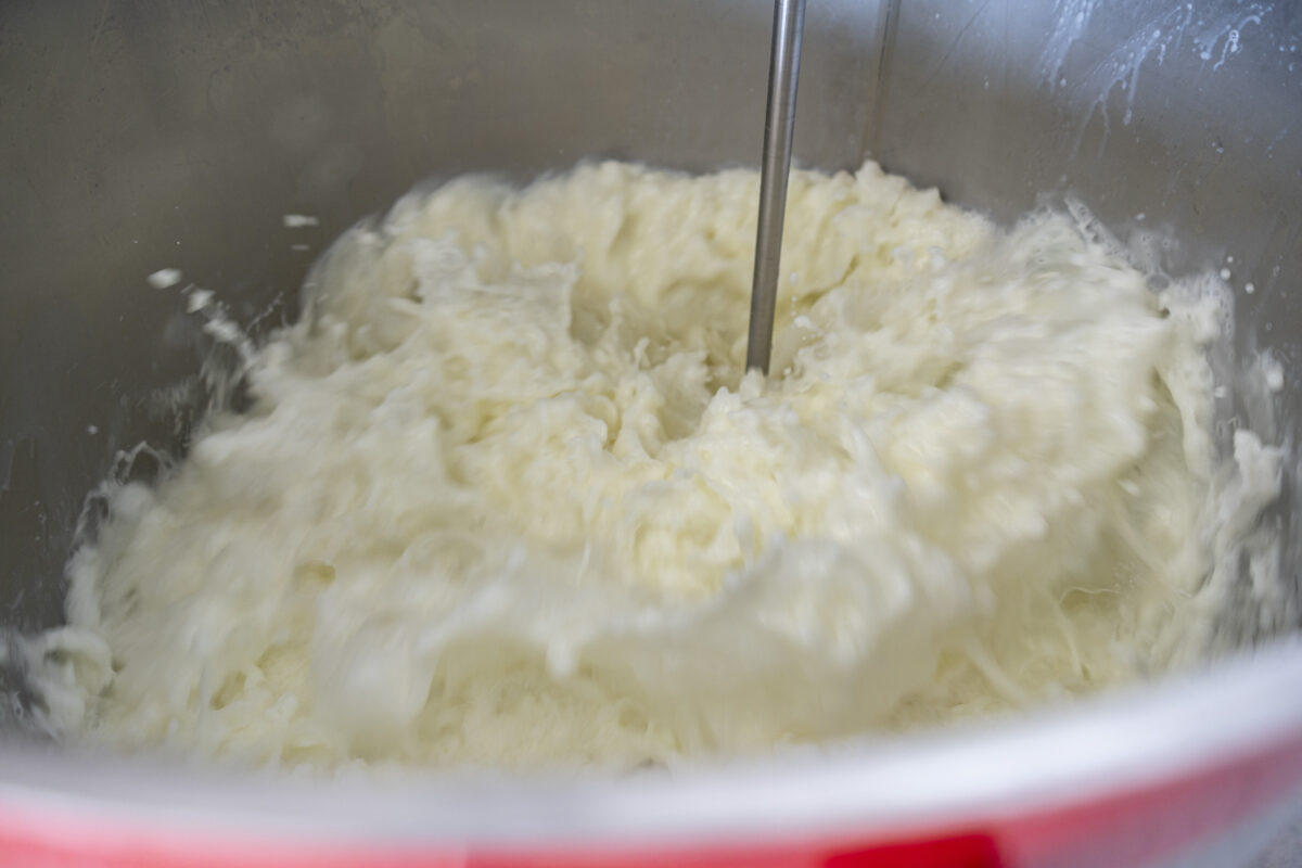 Milk N Roll Milk Pasteurizer 160L (Mobile) - Image 14
